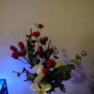 Meet your Posher, Jim